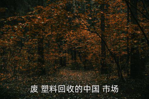 废 塑料回收的中国 市场