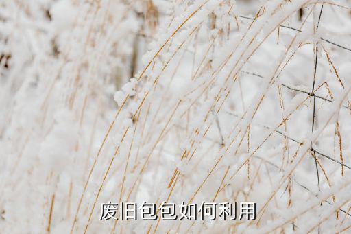  废旧包包如何利用