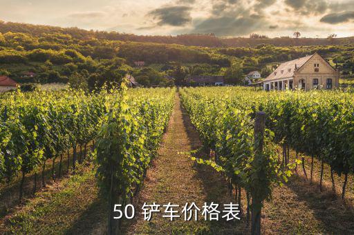 50 铲车价格表