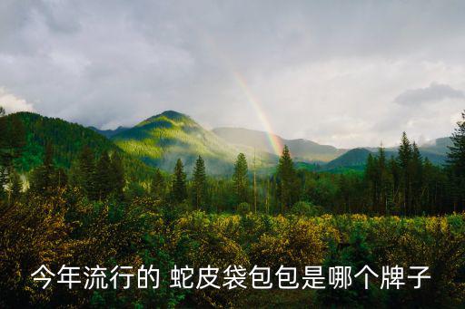 今年流行的 蛇皮袋包包是哪个牌子