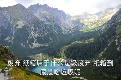 废弃 纸箱属于什么垃圾废弃 纸箱到底是啥垃圾呢