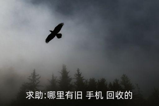 求助:哪里有旧 手机 回收的