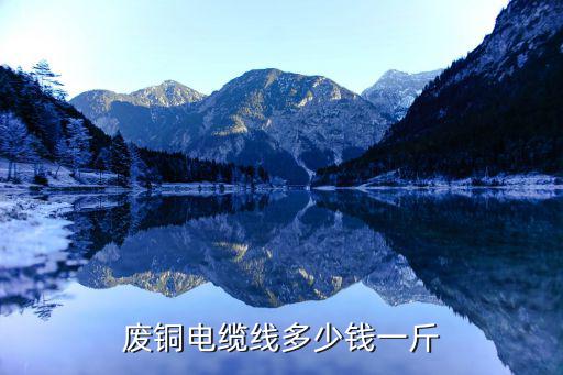 废旧马达铜,废旧电缆回收多少钱?废铜有很多种