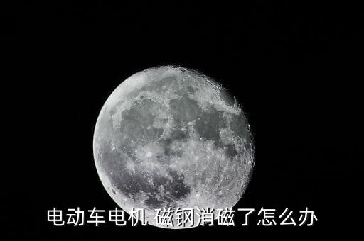 电动车电机 磁钢消磁了怎么办