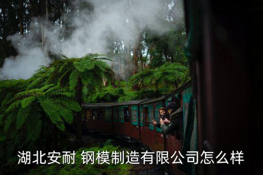 湖北安耐 钢模制造有限公司怎么样