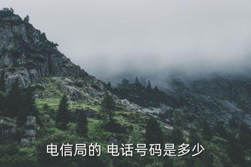 电信局的 电话号码是多少