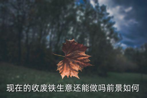 现在的收废铁生意还能做吗前景如何
