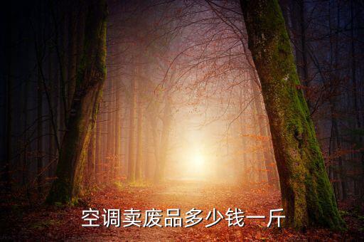 空调卖废品多少钱一斤