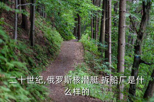 二十世纪,俄罗斯核潜艇 拆船厂是什么样的