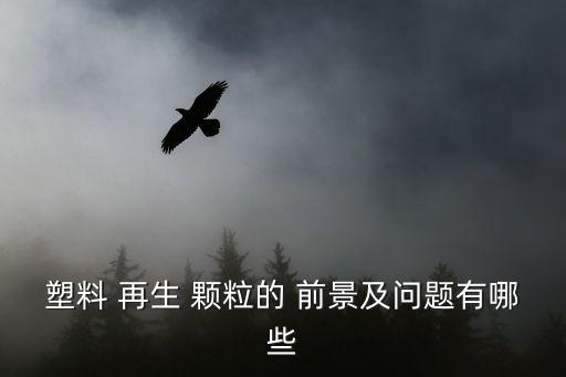 塑料 再生 颗粒的 前景及问题有哪些