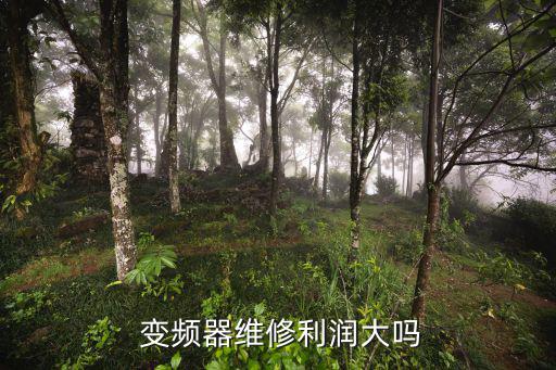  变频器维修利润大吗