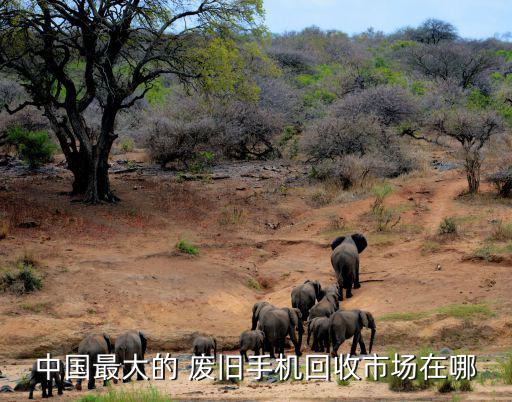 中国最大的废旧网站,中国最大的废旧家电回收市场在哪里?