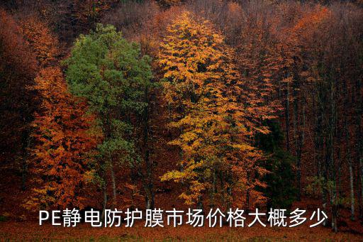  PE静电防护膜市场价格大概多少