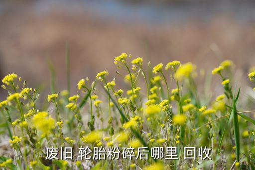 哪有回收废旧轮胎,废旧轮胎碾碎后卖或送给司机或收废品的小贩
