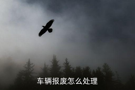 车辆报废怎么处理