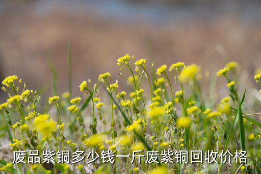 废品紫铜多少钱一斤废紫铜回收价格