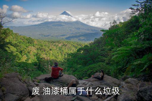 哪里能买到废旧油漆桶,常见工业废物及危险废物包括医疗废物