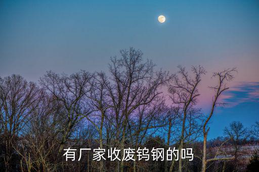有厂家收废钨钢的吗