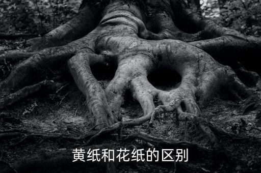 黄纸和花纸的区别