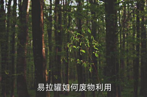  易拉罐如何废物利用