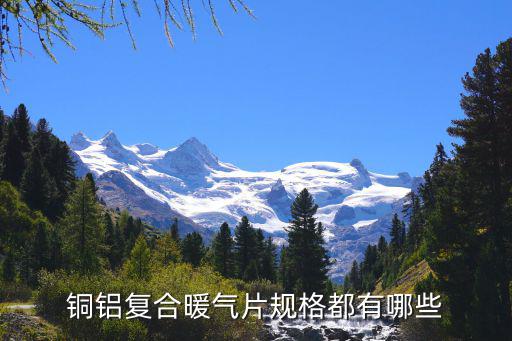 铜铝复合暖气片规格都有哪些
