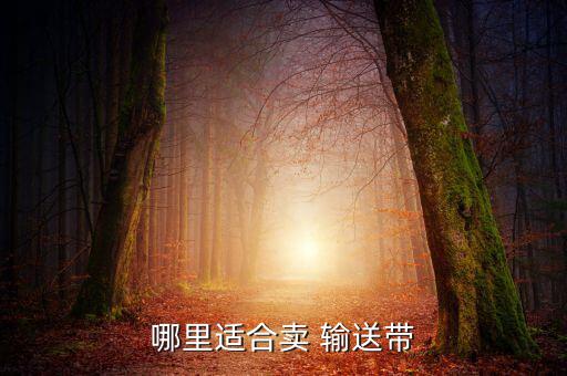 北京市废旧输送皮带出售,专业从事皮带销售及相关售后服务