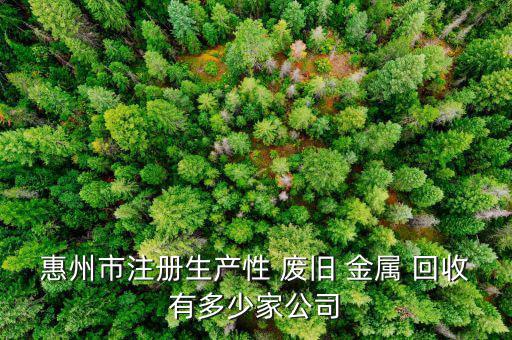 惠州市注册生产性 废旧 金属 回收有多少家公司