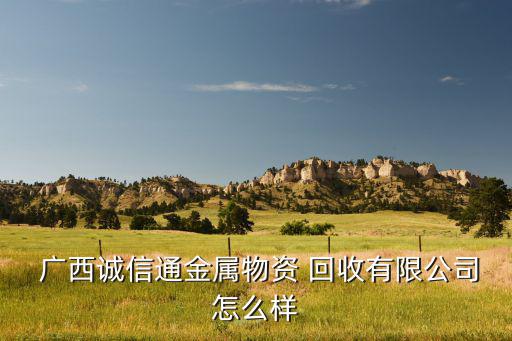  广西诚信通金属物资 回收有限公司怎么样