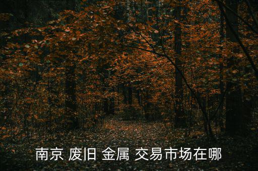 废旧金属交易信息网,南京最大废品市场金属废品回收再生