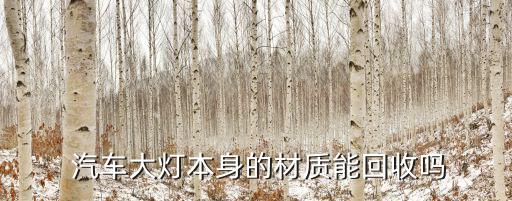  汽车大灯本身的材质能回收吗
