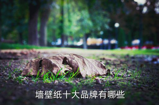  墙壁纸十大品牌有哪些