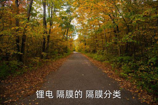 锂电 隔膜的 隔膜分类