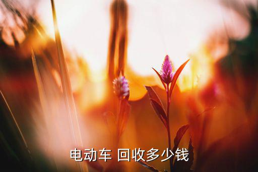 电动车 回收多少钱