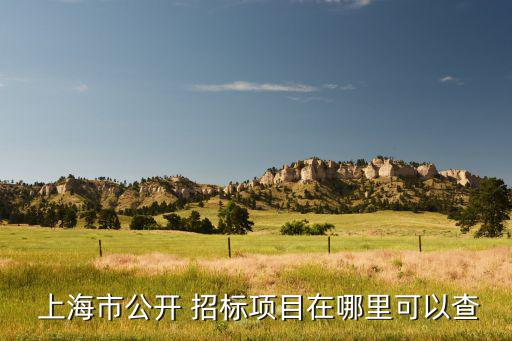  上海市公开 招标项目在哪里可以查