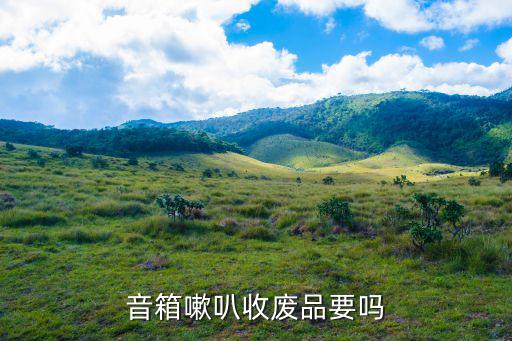 音箱嗽叭收废品要吗