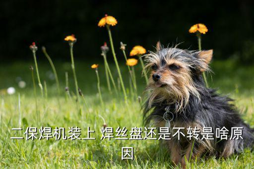 二保焊机装上 焊丝盘还是不转是啥原因
