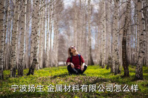  宁波扬生 金属材料有限公司怎么样