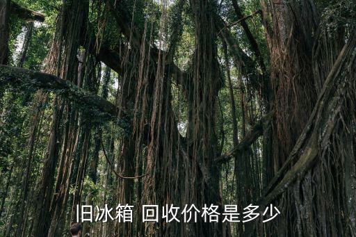 旧冰箱 回收价格是多少
