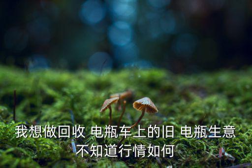 废旧电瓶铅板价格,缺乏完善回收体系废铅电池最终流入小作坊