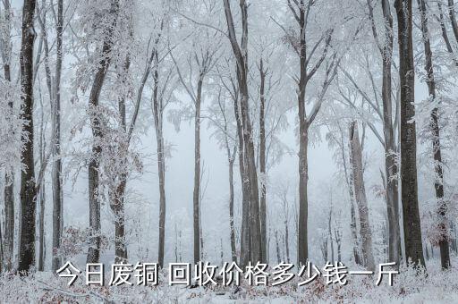 湖北省废旧金属回收价格,废铜回收利用率高吨位电缆废铜再生