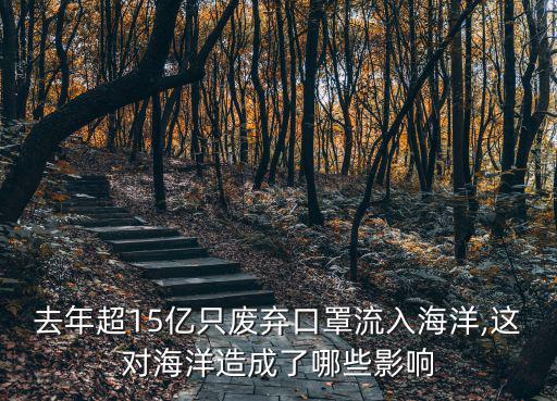 去年超15亿只废弃口罩流入海洋,这对海洋造成了哪些影响