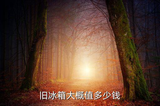旧冰箱大概值多少钱