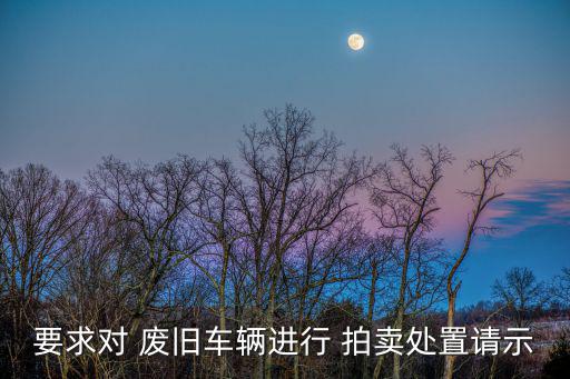 要求对 废旧车辆进行 拍卖处置请示