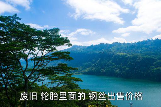 废旧 轮胎里面的 钢丝出售价格