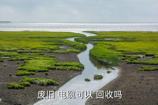  废旧 电缆可以 回收吗