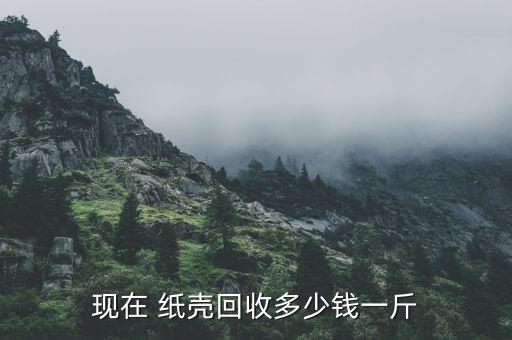 现在 纸壳回收多少钱一斤