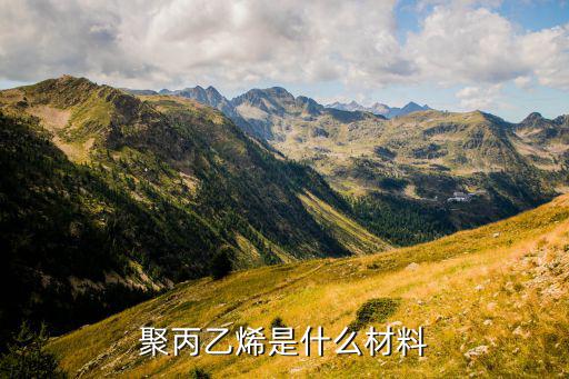 聚丙乙烯是什么材料