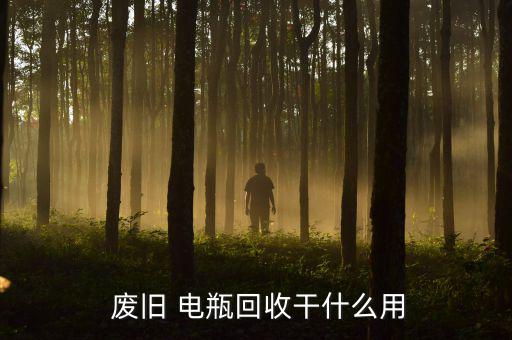  废旧 电瓶回收干什么用
