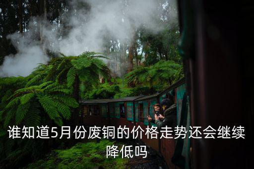 广东废旧物资网,废铜阻力消失订单商重新订购