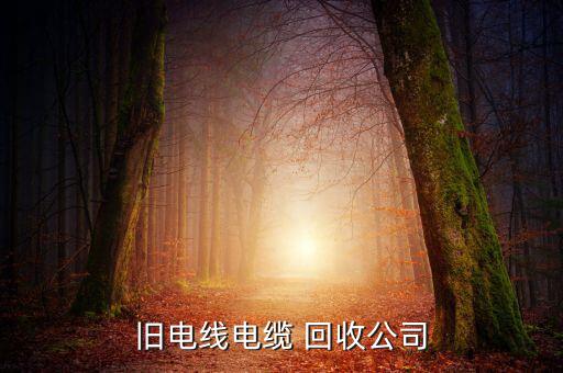 旧电线电缆 回收公司